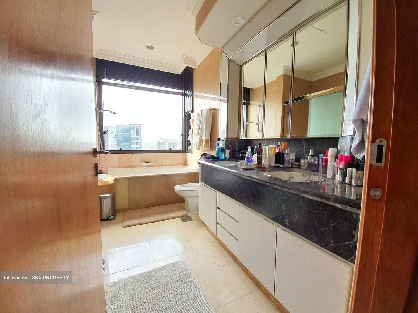 Four Seasons Park (D10), Condominium #532466271